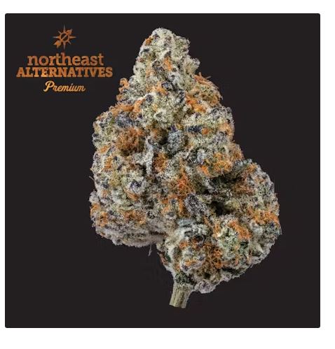 Photograph of product: Punch Breath Buds - 3.5g