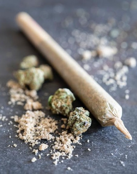 Photograph of product: Chief Kief Oui'd Pre-Roll