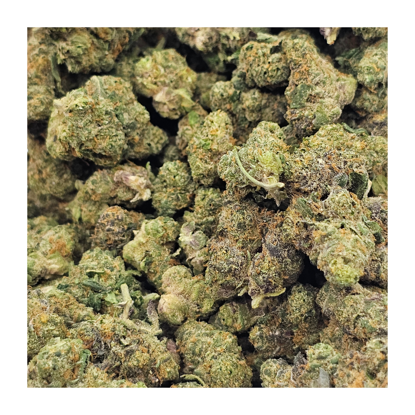 Photograph of product: Loud Tier - Common Citizen - Kush Mints Bulk Bud - 28g
