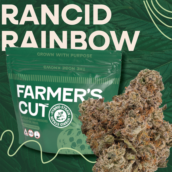 Photograph of product: Farmer's Cut | Rancid Rainbow | 3.5g