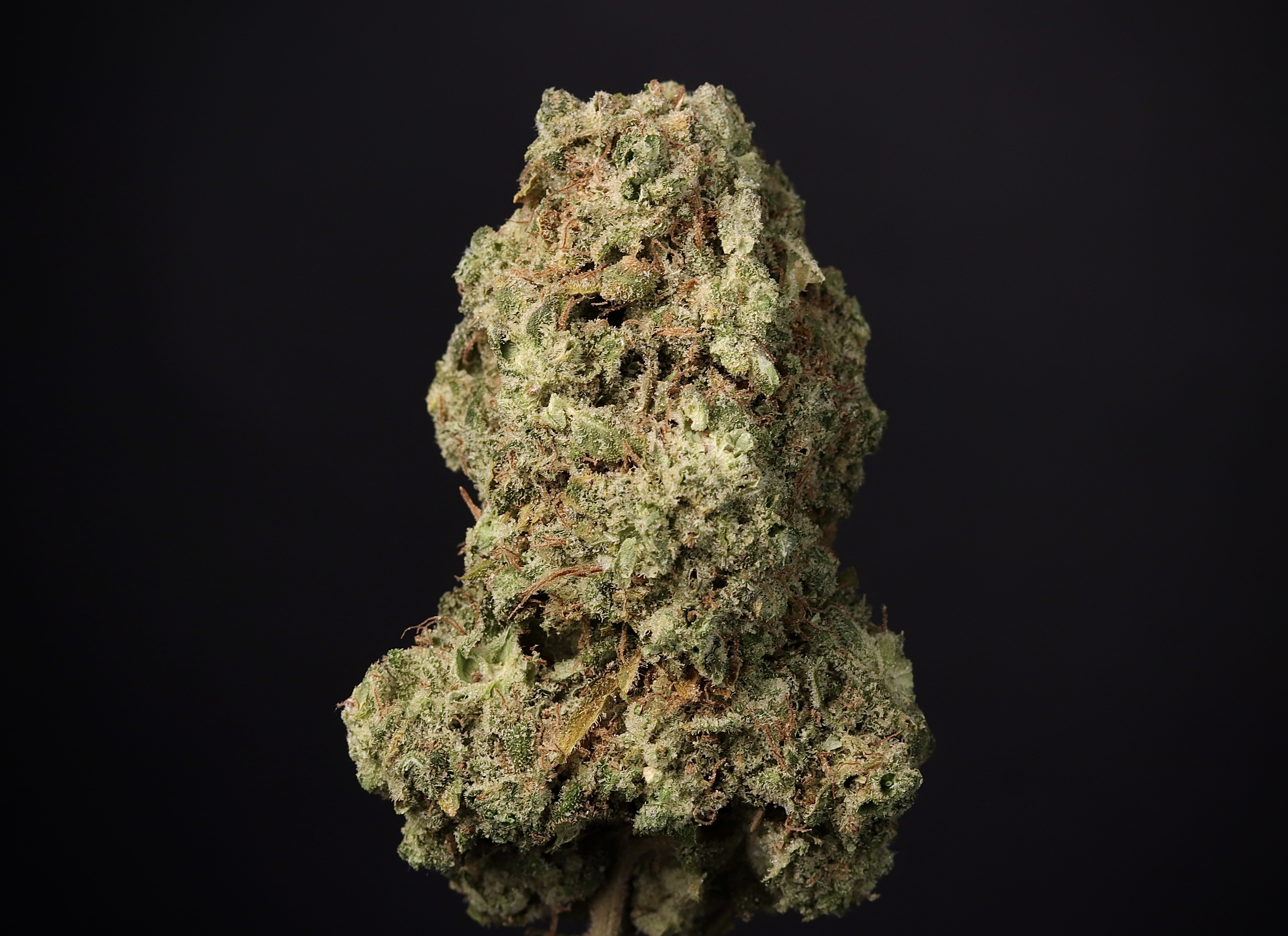Photograph of product: Mantra - Landrace Oui'd Co. - 3.5g