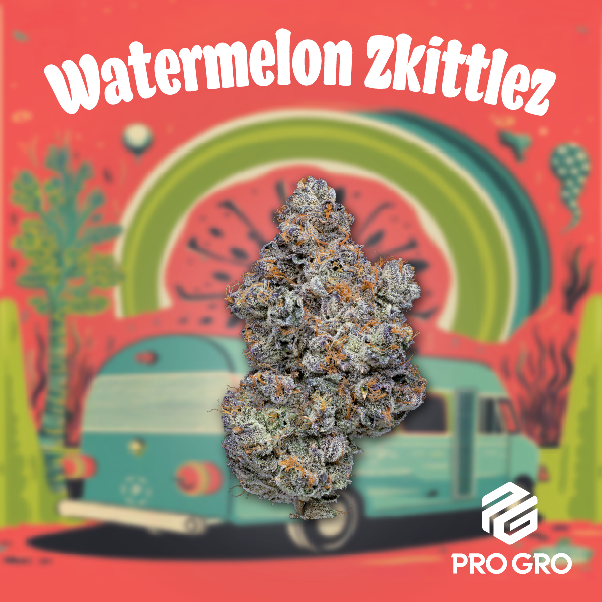 Photograph of product: PRO GRO | Bulk Flower | Watermelon Zkittlez - 28g