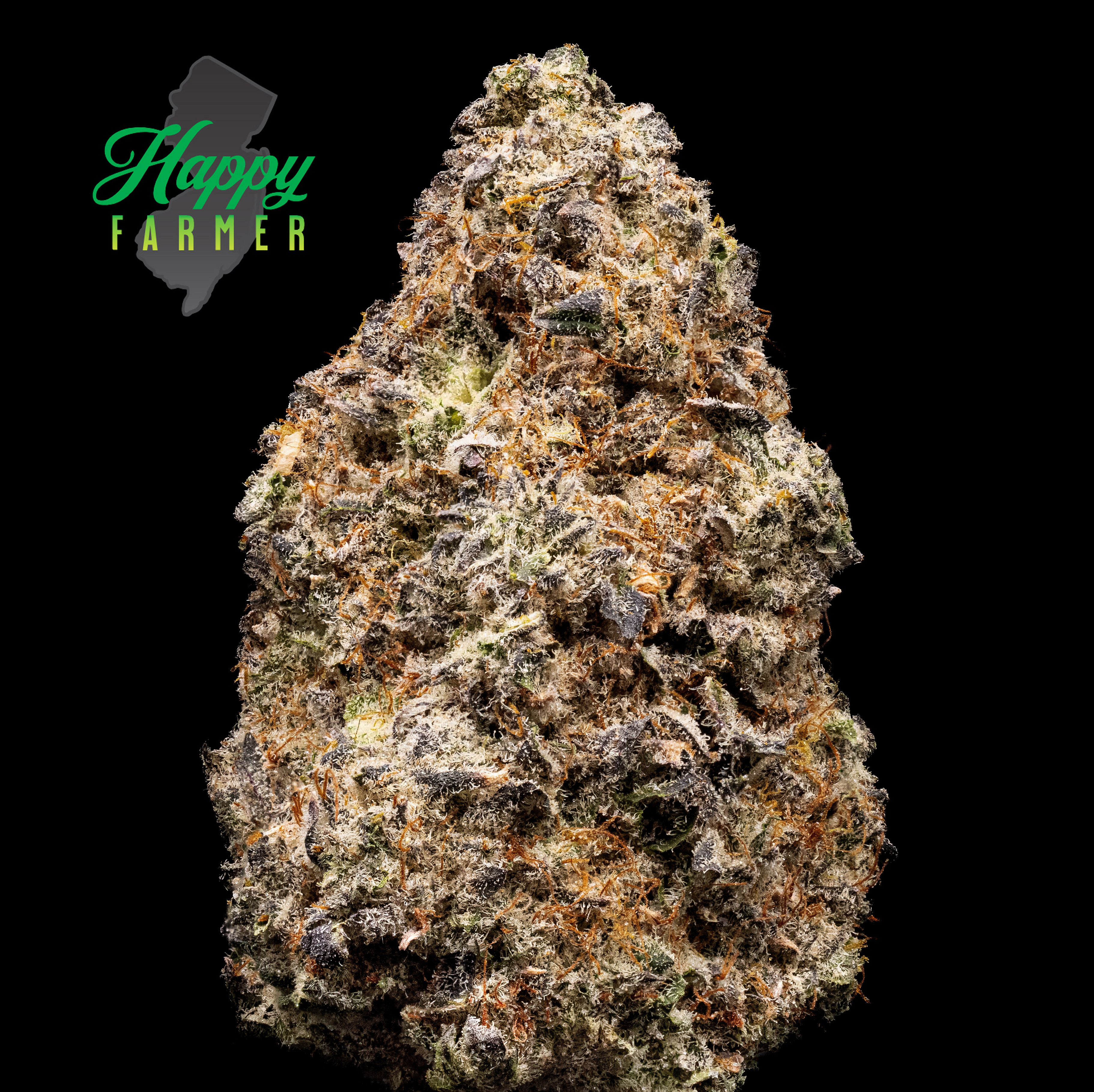 Photograph of product: Flower | Grand Slam - 3.5g