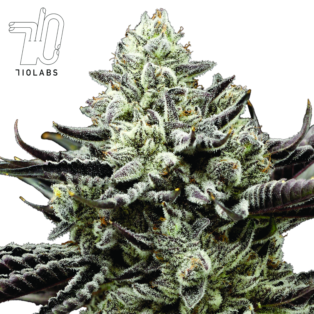Photograph of product: Zimosa #2 PP Flower by 710 Labs - 3.5g