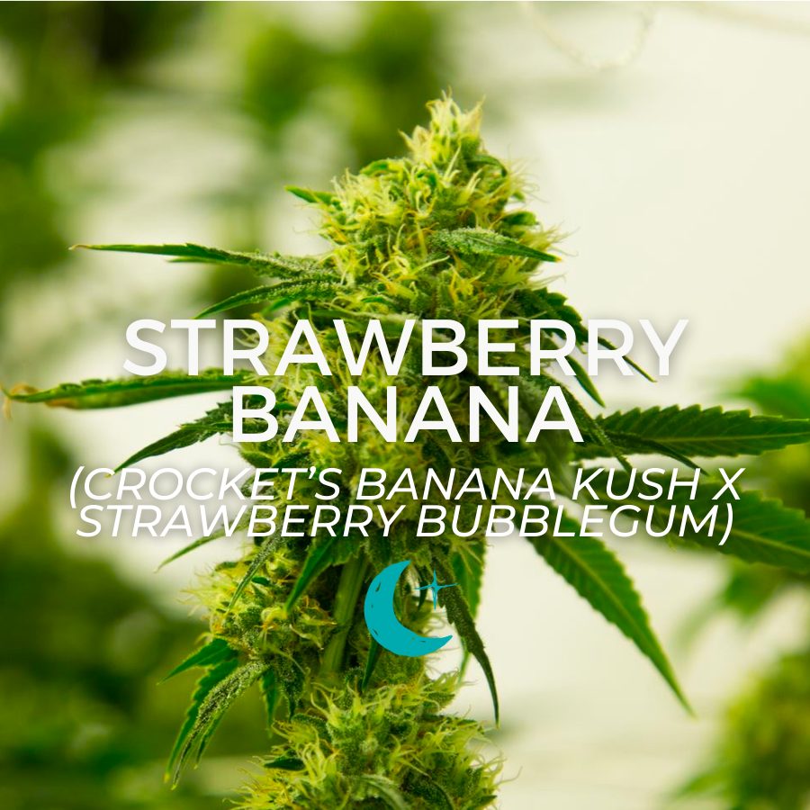 Photograph of product: Strawberry Banana - 4g