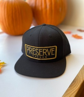 Photograph of product: Preserve Hat - Snapback - Black
