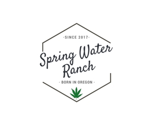 Photograph of product: Springwater - Pink Pluto Pie Live Resin