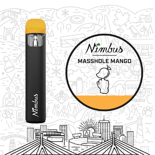 Photograph of product: Masshole Mango Haze (2g Disposable)