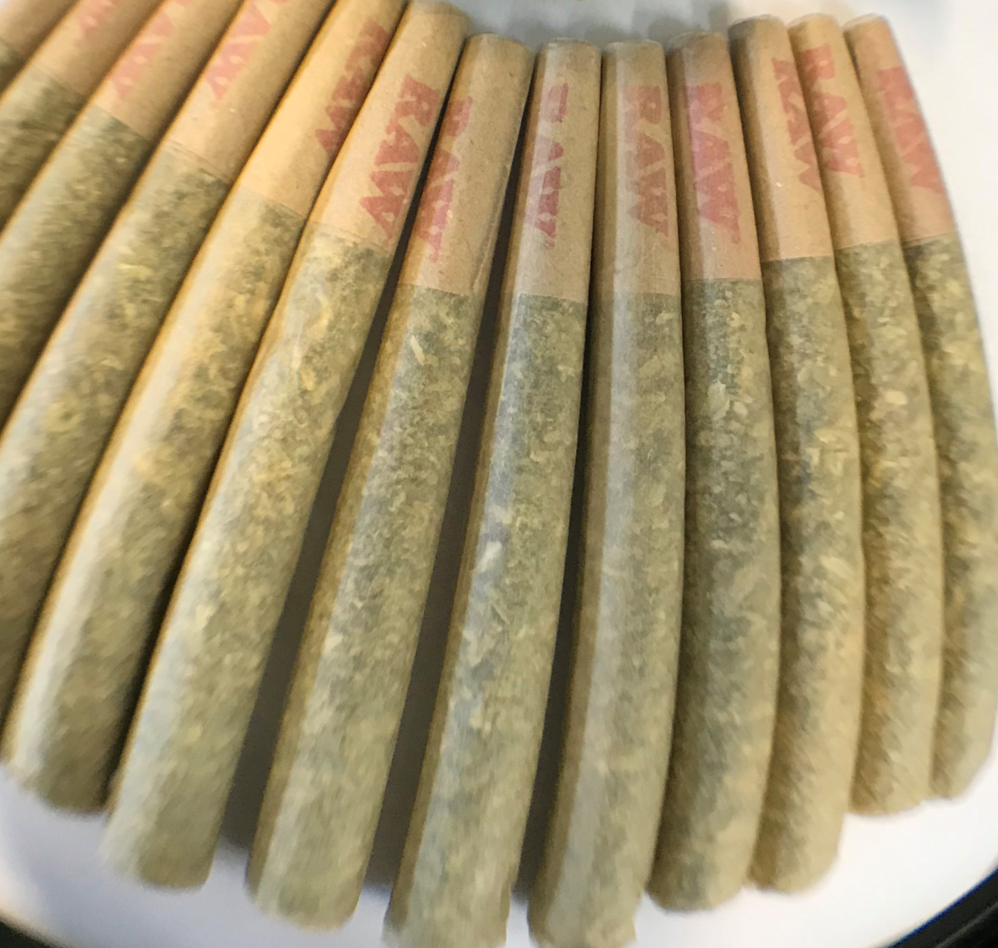 Photograph of product: #5784 GMO | 2.3.25 TPR | 3 pk | ID