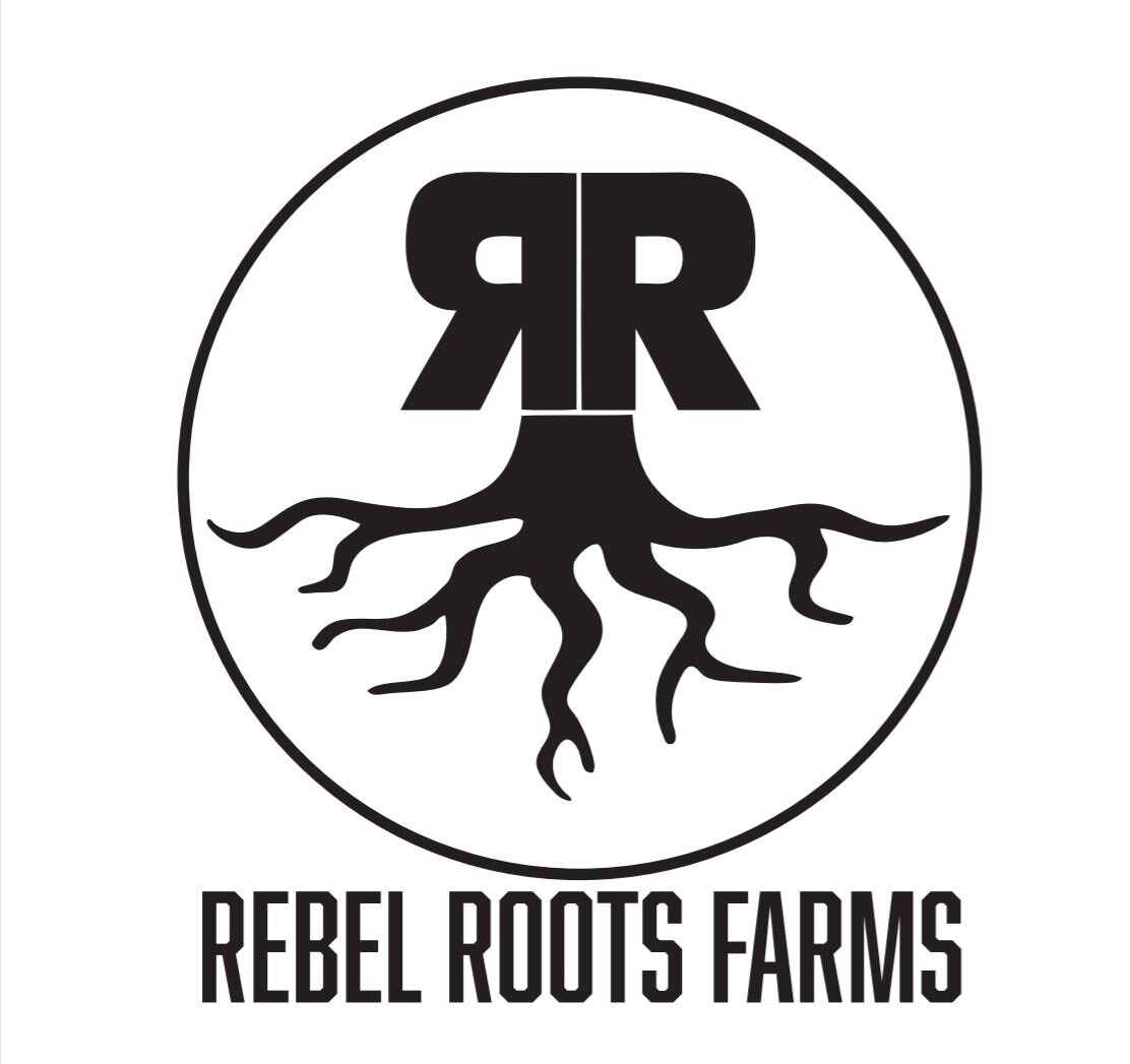 Photograph of product: Rebel Roots - Tropicana Cookies RSO