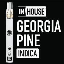 Photograph of product: Georgia Pine | 1g | Disposable Vape | In House