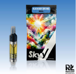 Photograph of product: Blueberry Dreams Cartridge 2g