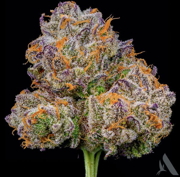 Photograph of product: Affinity Flower 3.5g PB Breath (H)