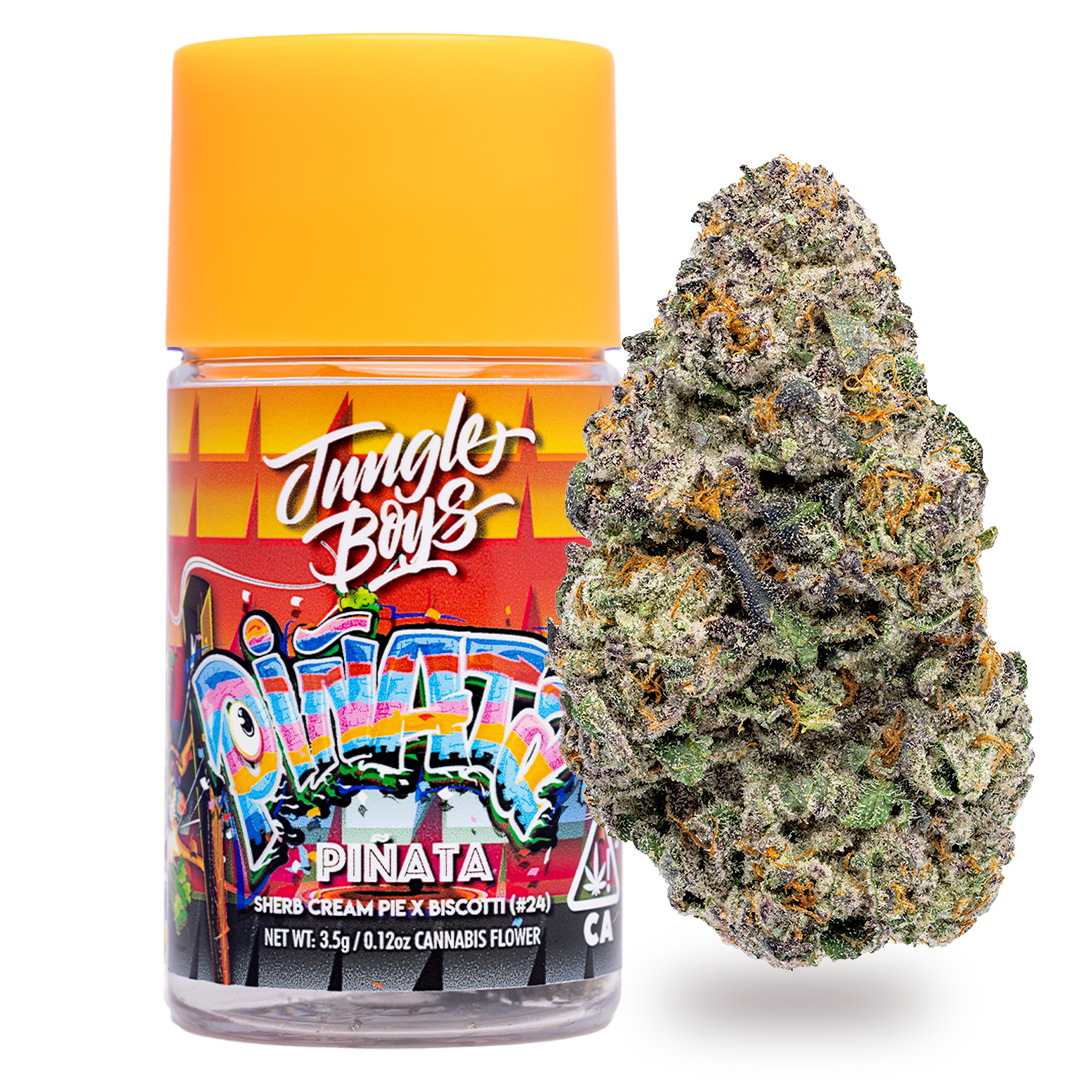 Photograph of Product: Jungle Boys | Pinata - 3.5g Jar