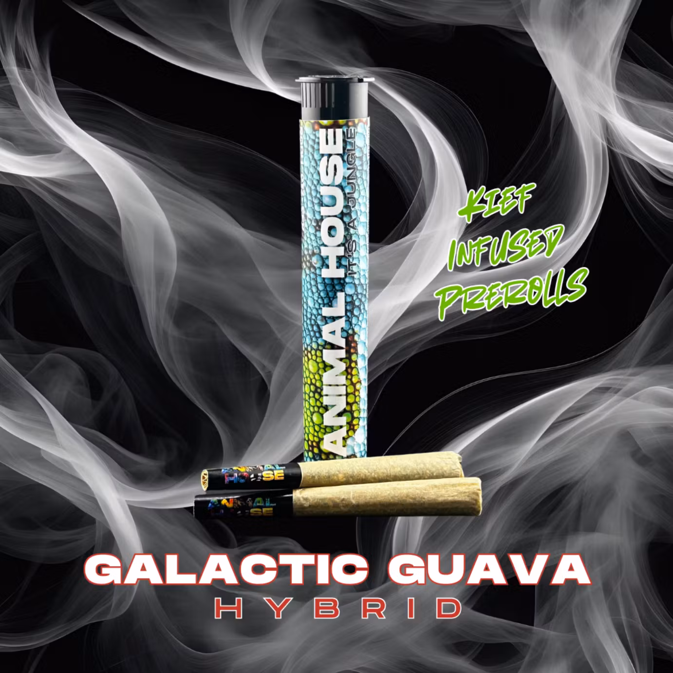 Photograph of product: Animal House | Galactic Guava | 1.5g Infused 2pk Pre-Rolls