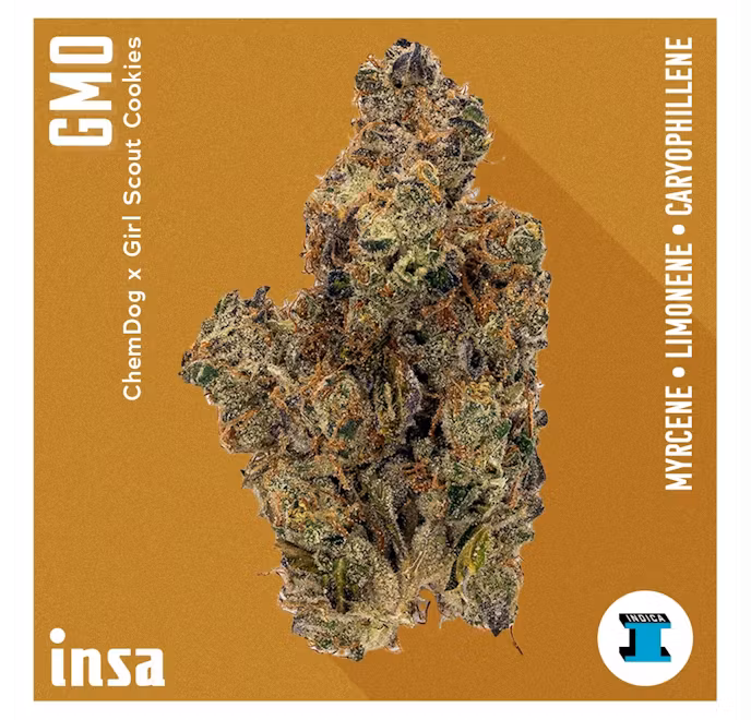 Photograph of product: GMO 3.5g