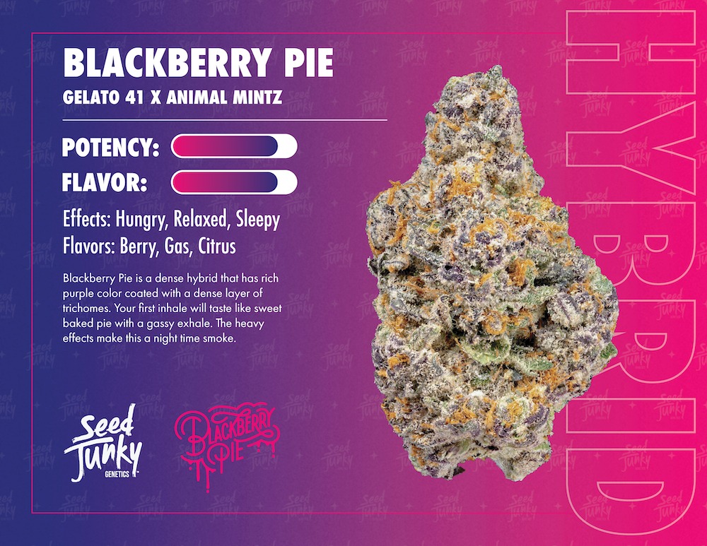 Photograph of product: Seed Junky - Blackberry Pie Pre-Pack (H) - 3.5g