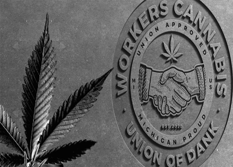 Photograph of product: WC High-C Orange .6g Disposable Vape