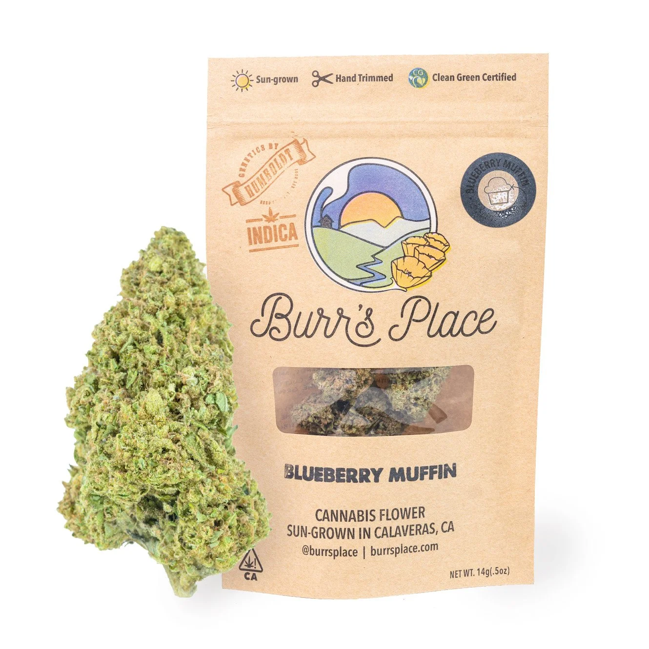 Photograph of product: Blueberry Muffin (I) Smalls 14 G