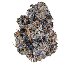 Photograph of product: FloraVega | Bacio (H) - 3.5g