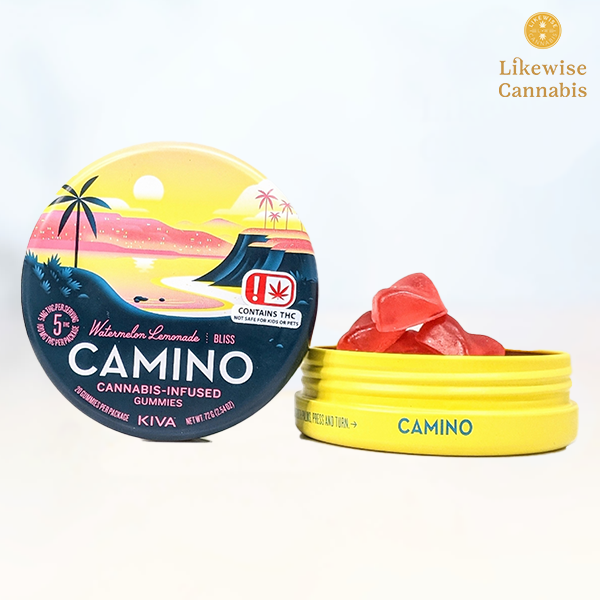 Photograph of product: 20-PACK 100MG WATERMELON LEMONADE GUMMIES