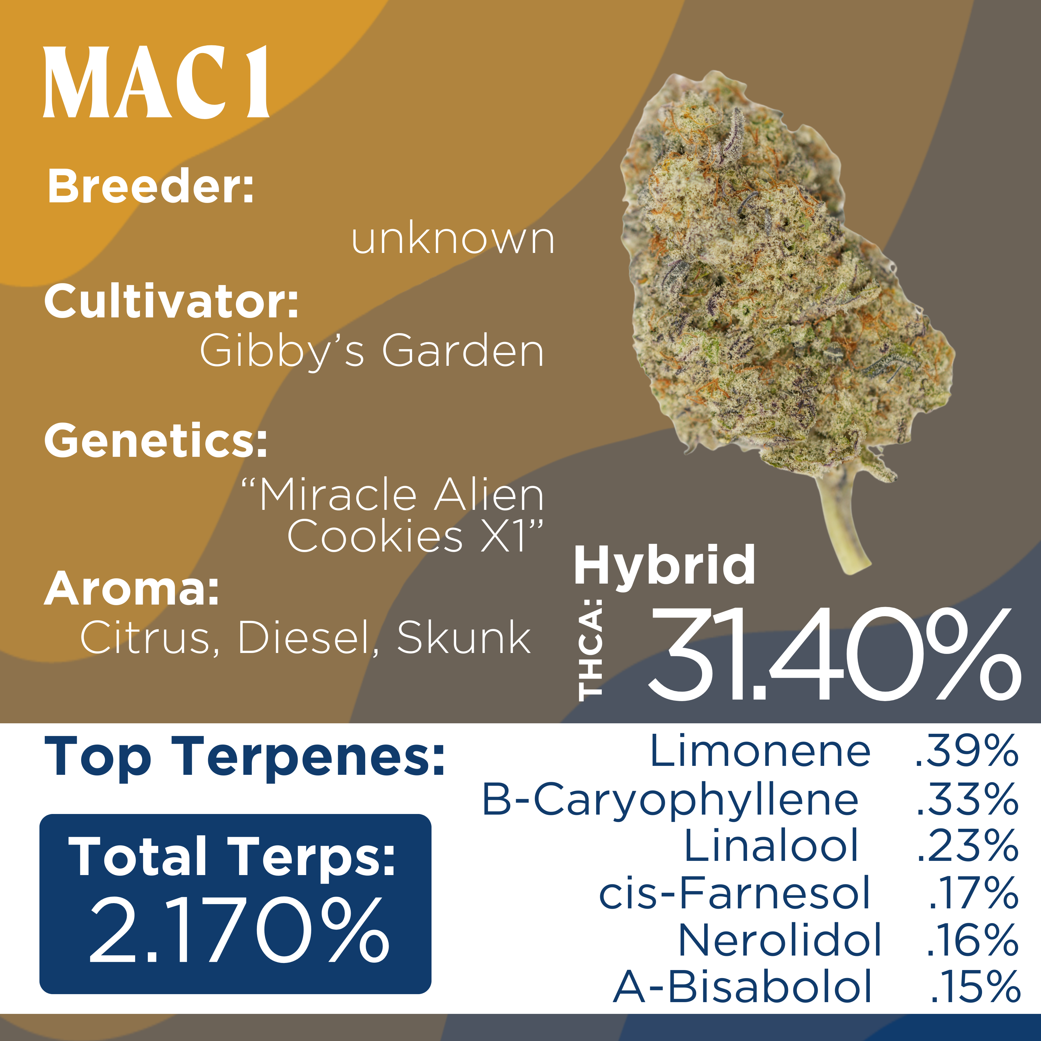 Photograph of product: Deli Style | MAC 1 - Hybrid - 1g