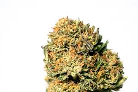 Photograph of product: Caribbean Mustang - 28g