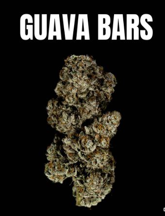 Photograph of product: Guava Bars #5 | Frosted Farms | Bulk Flower - 28g
