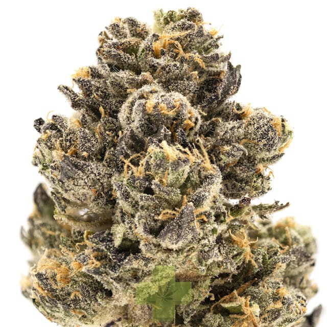 Photograph of product: Take-Off - Eighth