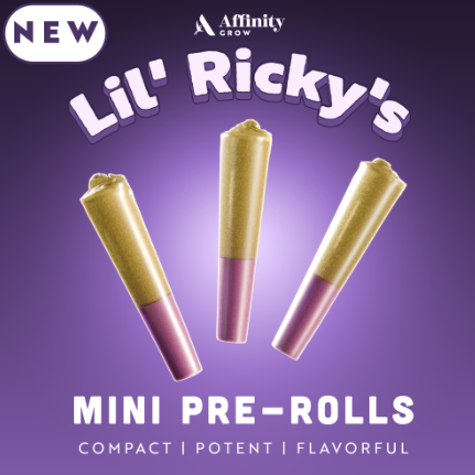 Photograph of product: Frosted Flame (3x.3g) Lil' Ricky's (I) 00386