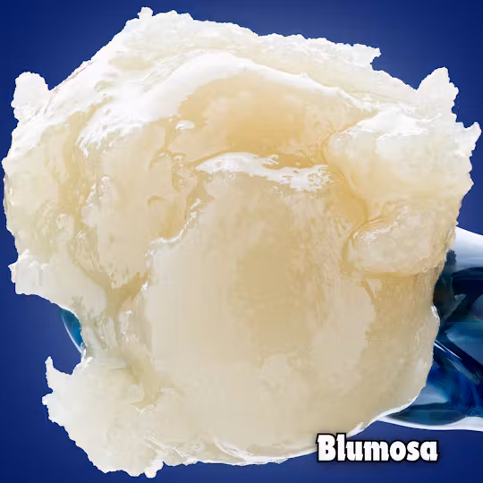 Photograph of product: MONOPOLY MELTS - BLUMOSA COLD CURE LIVE ROSIN 3.5G HYBRID