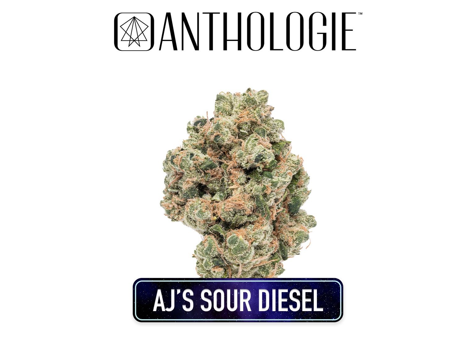 Photograph of product: Anthologie Littles AJs Sour Diesel Flower 7g