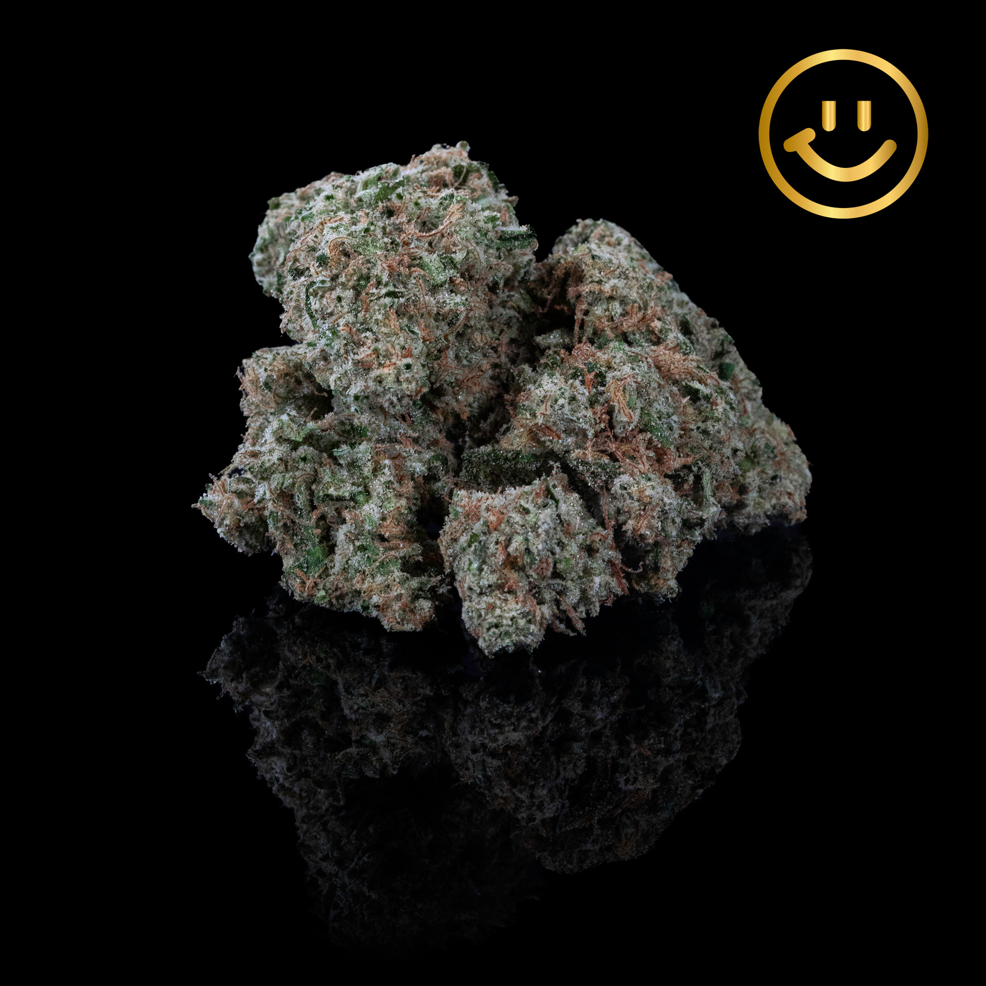 Photograph of product: Resin Ranchers | Mt. Hood Magic | indoor flower
