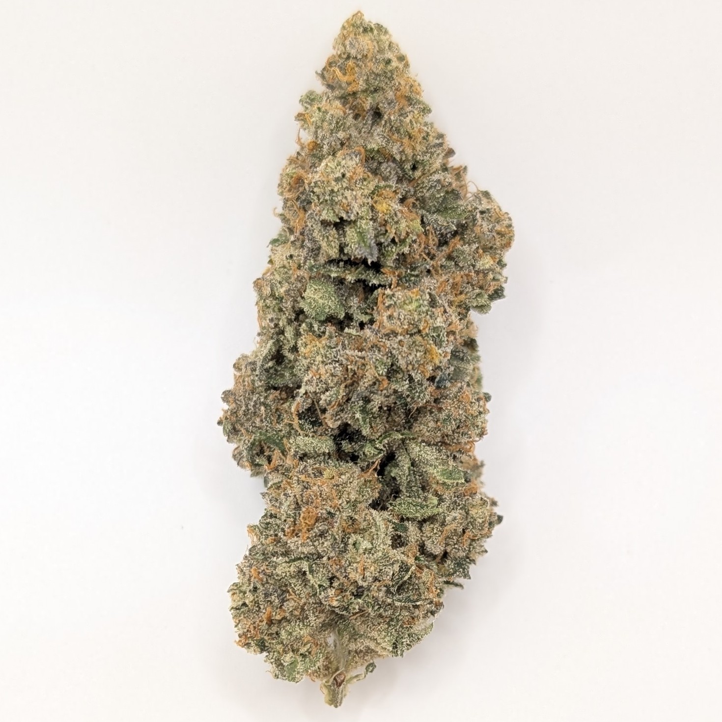 Photograph of product: Cheetah the Hut 3.5g