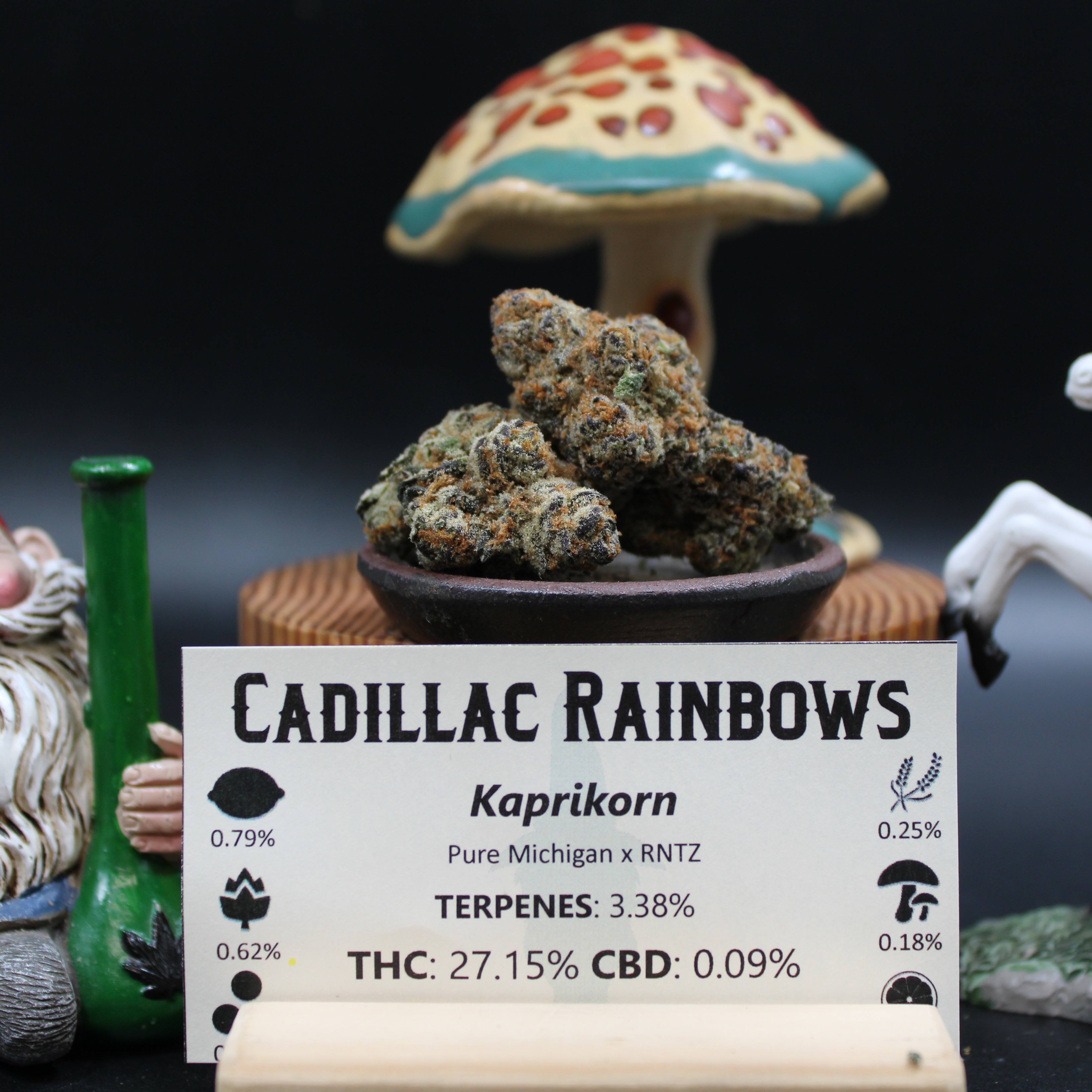 Photograph of product: Cadillac Rainbows