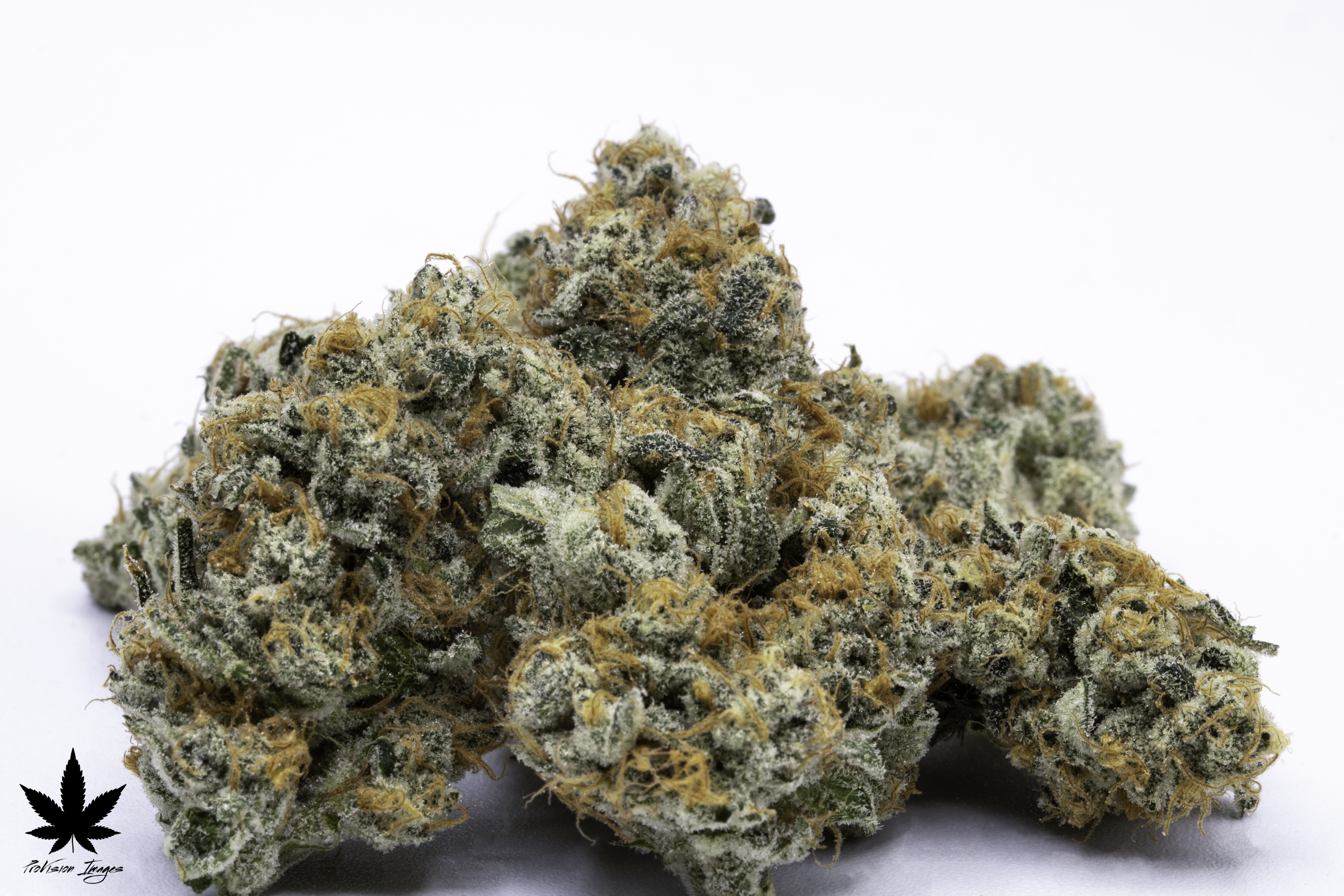 Photograph of product: Buds | Watermelon Martini - 28g