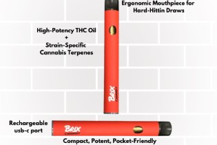 Photograph of Product: Brix Cannabis Gary P All in One Vape (H) 00211 Disp)(AU)