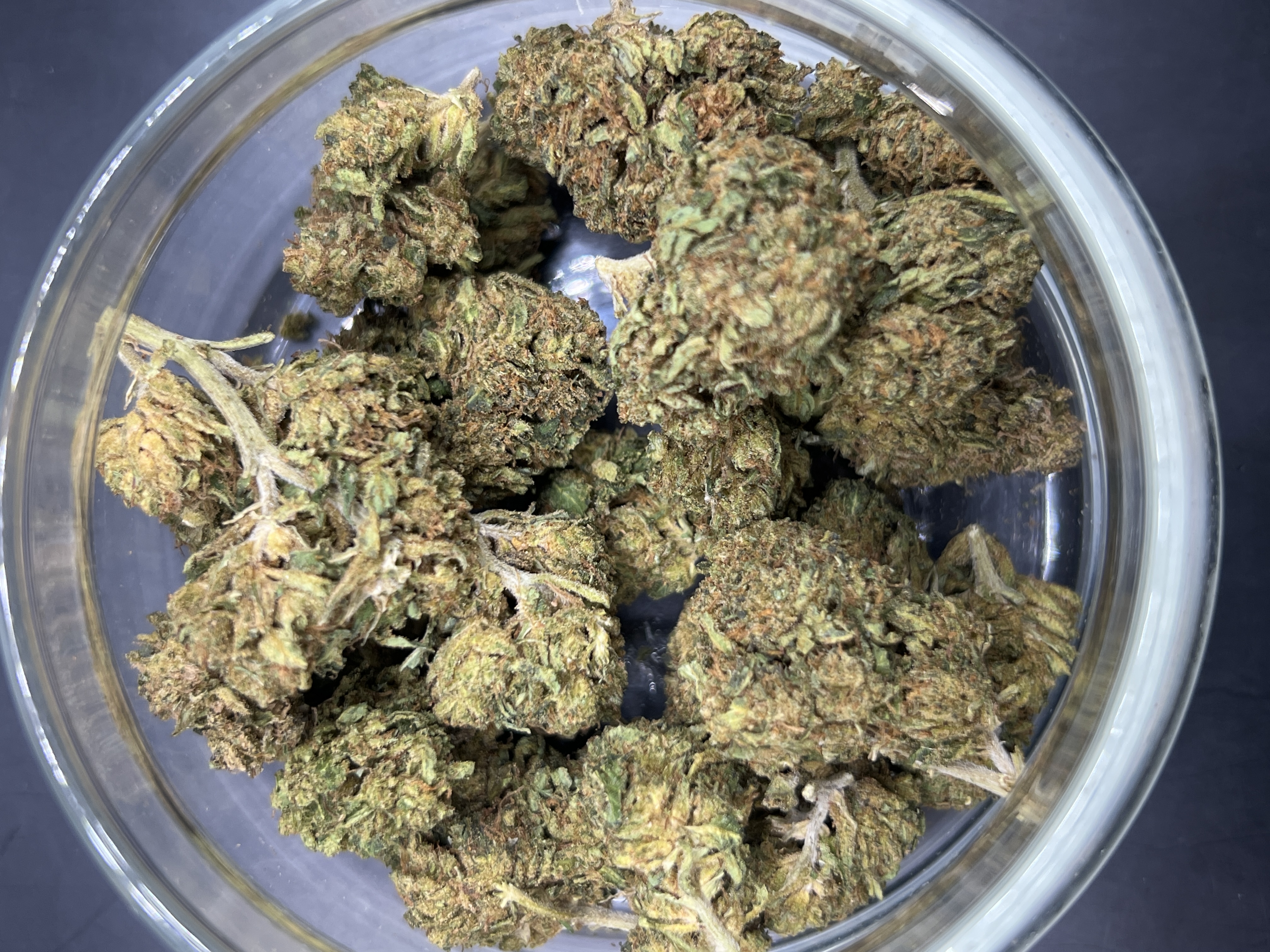 Photograph of product: Collins Ave (Gum Tree Farms) 27.01% - 28g