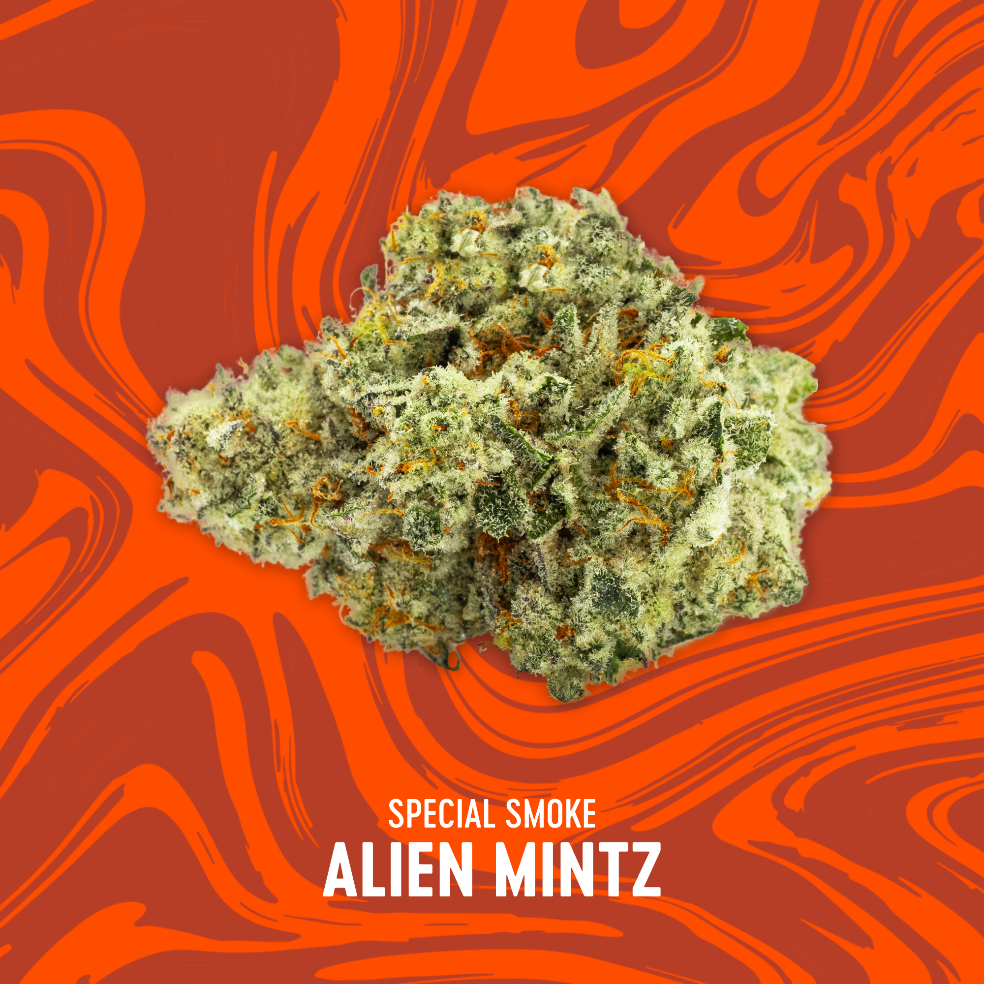 Photograph of product: Vivid - Special Smoke - Alien Mintz - Deli Flower - 84g