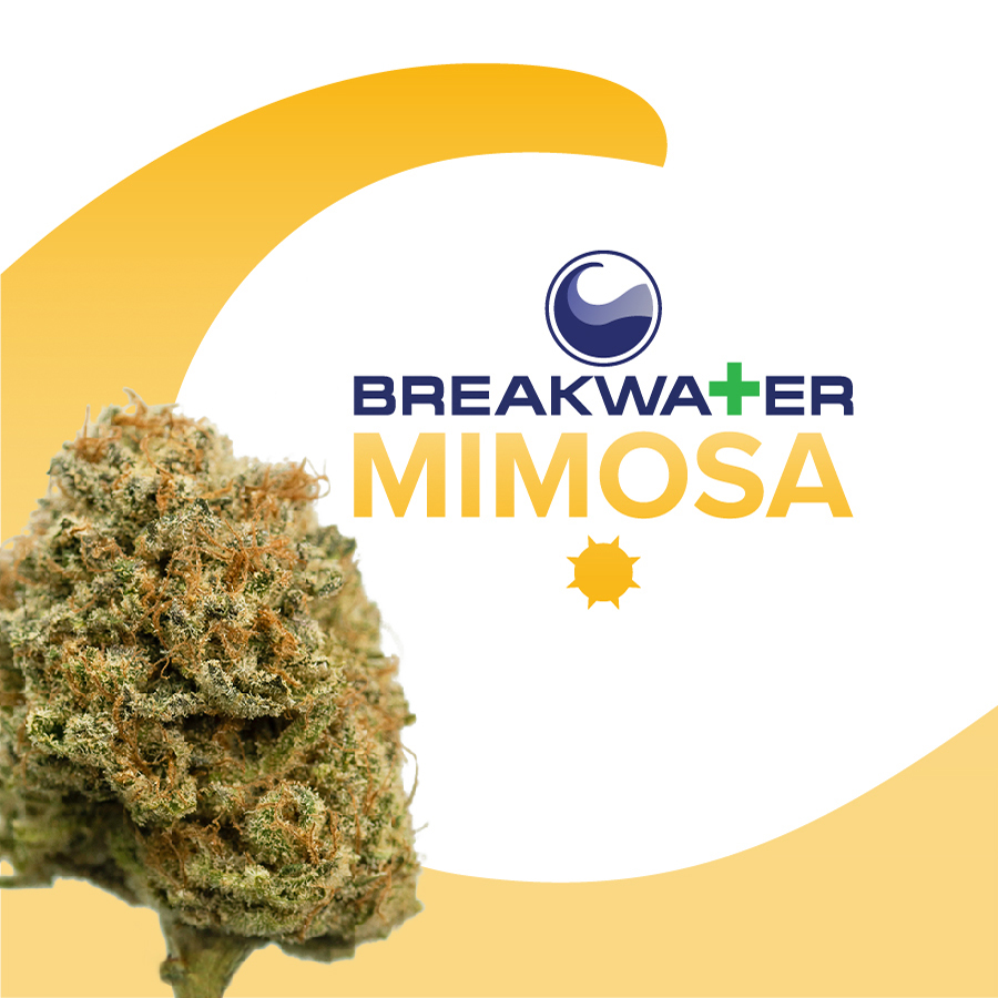 Photograph of product: Mimosa - 3.5g