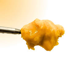 Photograph of product: Bold Cultivation Double Stack 7g Budder Oui'd