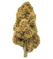 Photograph of product: Mandarin Jack - Hybrid - 3.5g