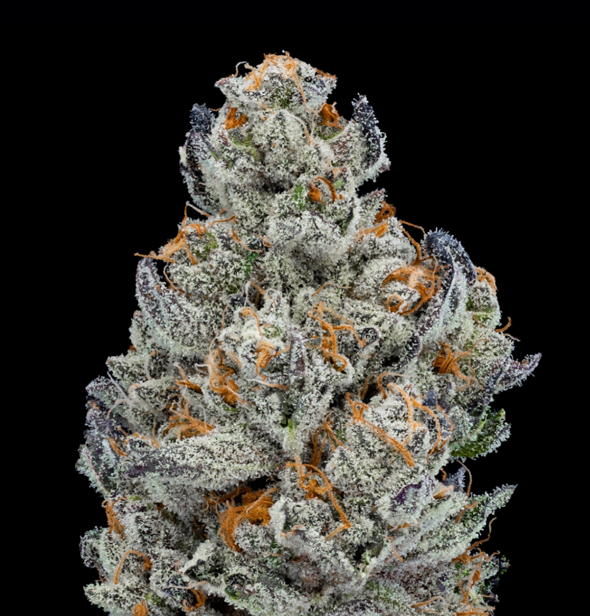 Photograph of product: Zkittlez Kush Mints 1/8 Prepack - 28g