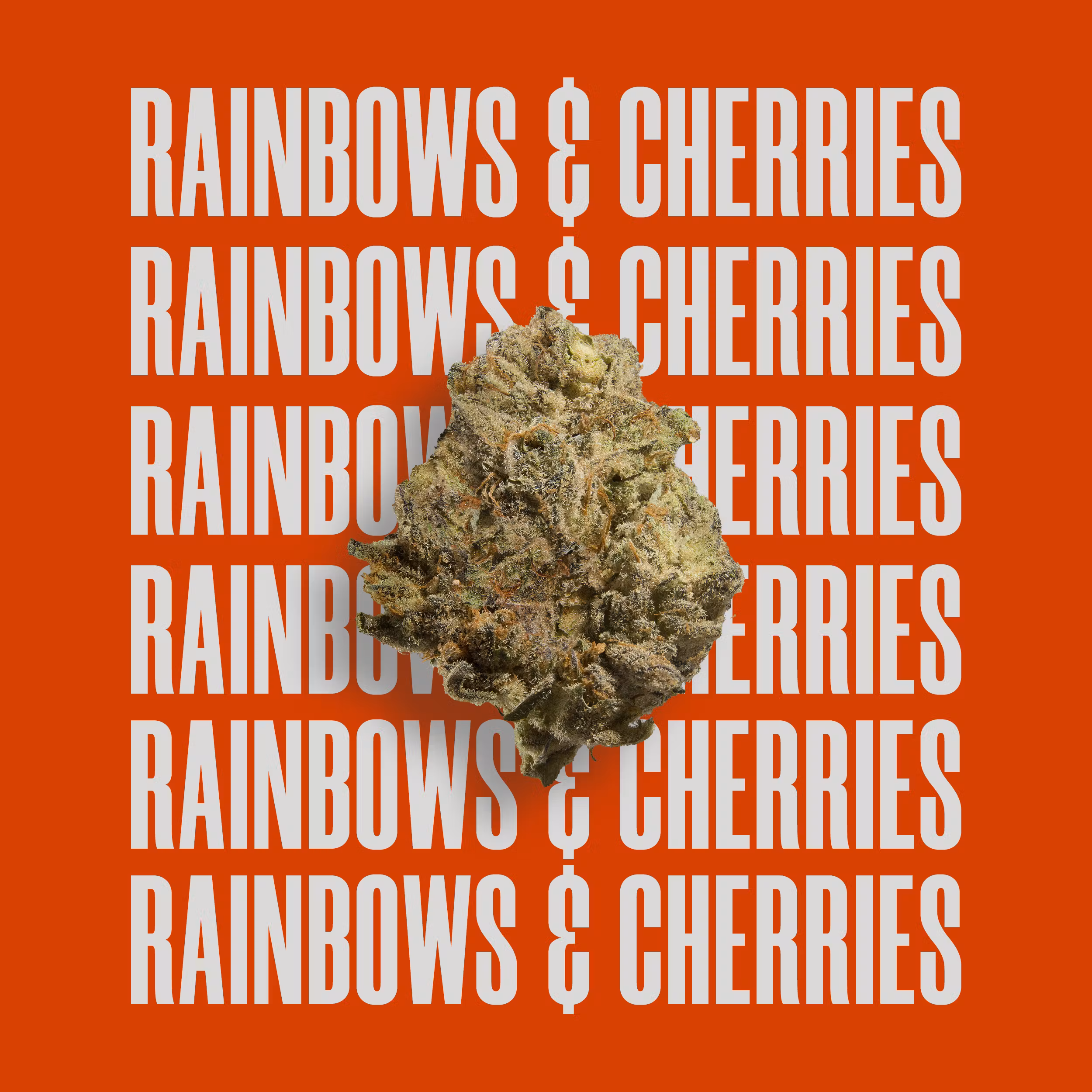 Photograph of product: CRESCO Rainbows & Cherries 1/8 - 3.5g