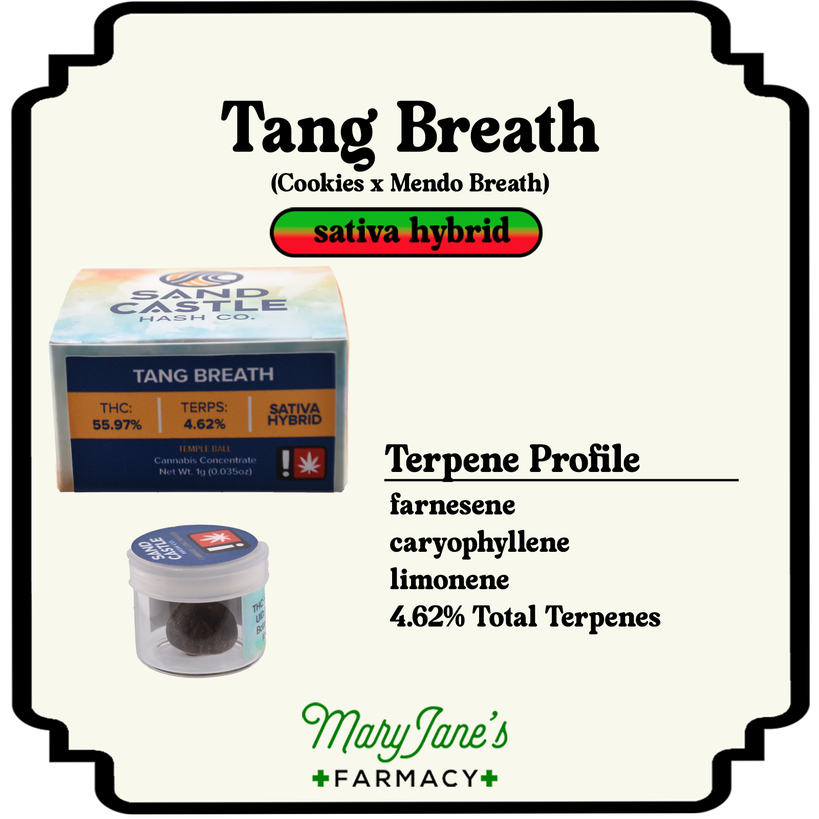 Photograph of product: Tang Breath au chocolat Temple Ball | 1g