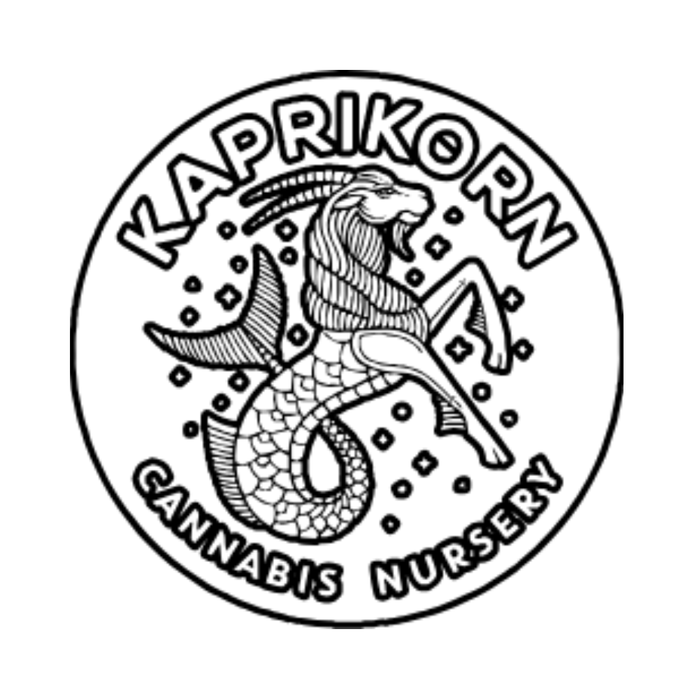 Photograph of product: Kaprikorn - GMO x Jungle Cake (Live Resin)