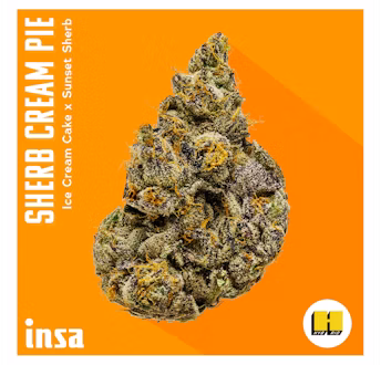 Photograph of product: INSA | Sherb Cream Pie | 28g