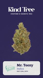Photograph of product: Mr. Teeny - 7g