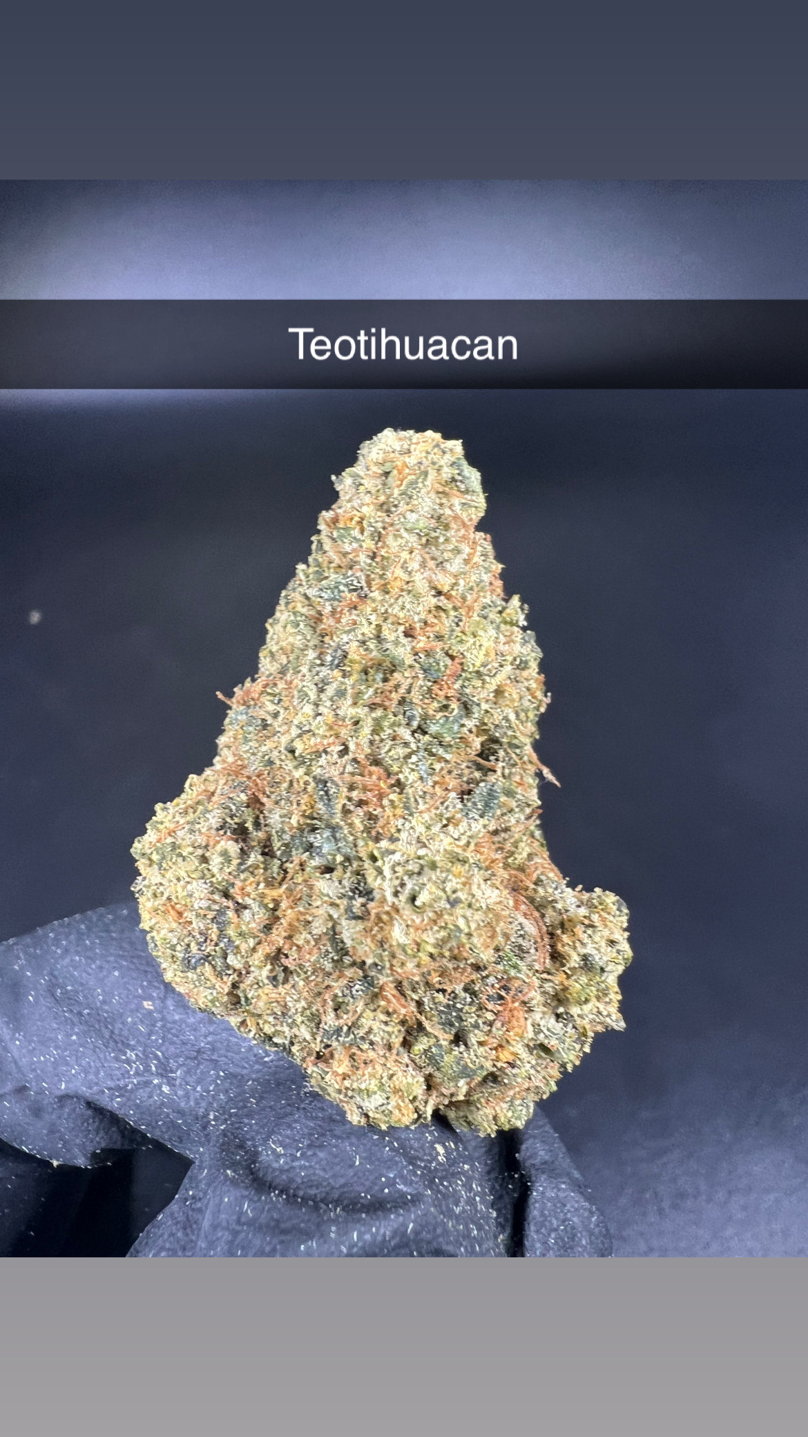 Photograph of product: Teotihuacan - Flower - Hybrid - 28g