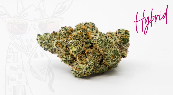 Photograph of product: Candela Pre-Packaged 3.5g Apple Tartz